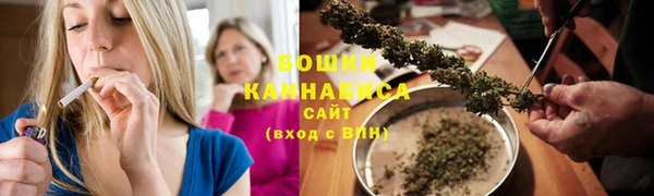 сатива Навашино