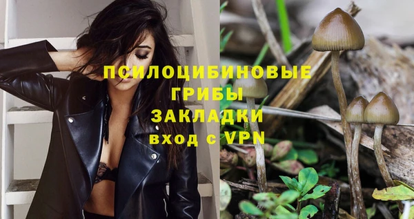 СК Алагир