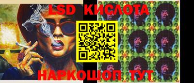стаф Дубна