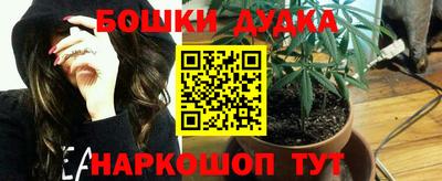 стаф Дубна
