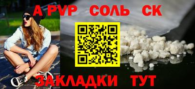 стаф Дубна