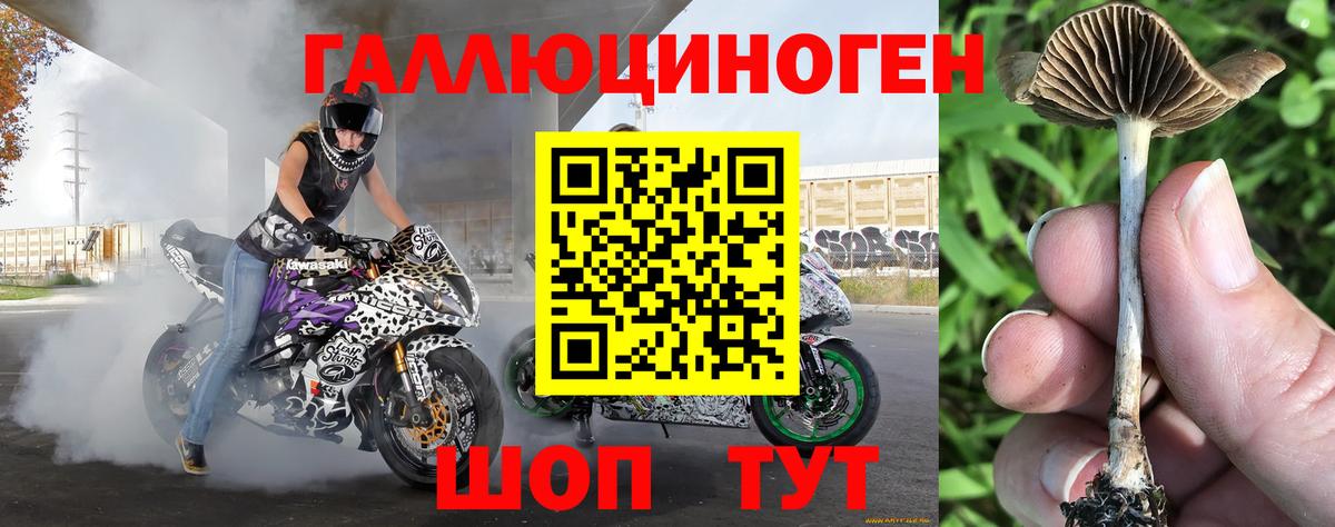 Галлюциногенные грибы прущие грибы Ирбит