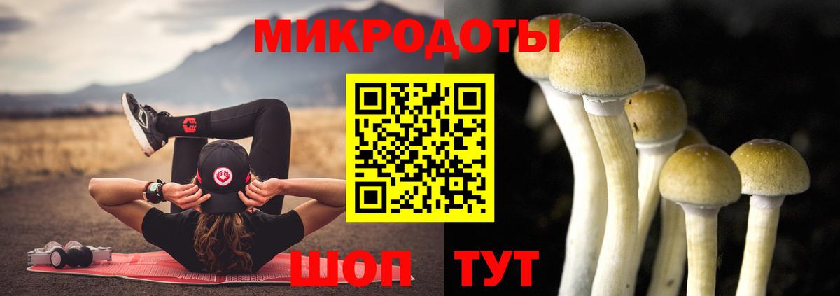 купить наркоту  Псилоцибиновые грибы прущие грибы  Ирбит  Вход с VPN  Галлюциногенные грибы MAGIC MUSHROOMS 